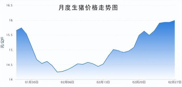 _生猪合约规则_生猪合约那个是主力合约