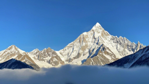 山东青岛旅游亲子游：畅享海滨与童趣