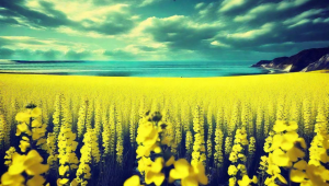 水瓶座女生钟情的玫瑰：探寻其独特喜爱背后的浪漫密码