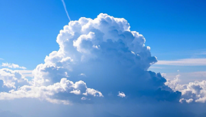 双鱼是天蝎座的什么人