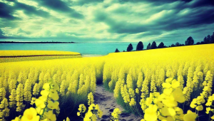 青岛酒店管理学院王晓晴相关主题文章标题

因未明确具体要求，这样的标题较为宽泛，