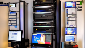 如何打开域名根目录？掌握这些方法轻松搞定