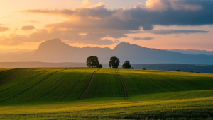 吸引水瓶座男生的秘诀：掌握这些要点让他对你倾心