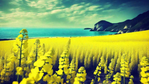 摩羯座与狮子座女人适配度大揭秘：她们真的合拍吗？