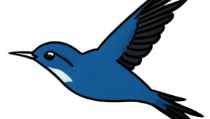 双鱼与狮子能否相配?深度剖析二者契合度与相处之道