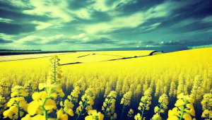 水瓶座突然找你瞎聊意味着什么