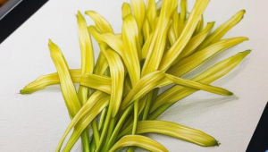 天秤座男是否真的不喜欢搞笑女？深度剖析星座情感偏好