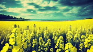 水瓶座男生真的不介意孤独吗：探寻其内心孤独密码